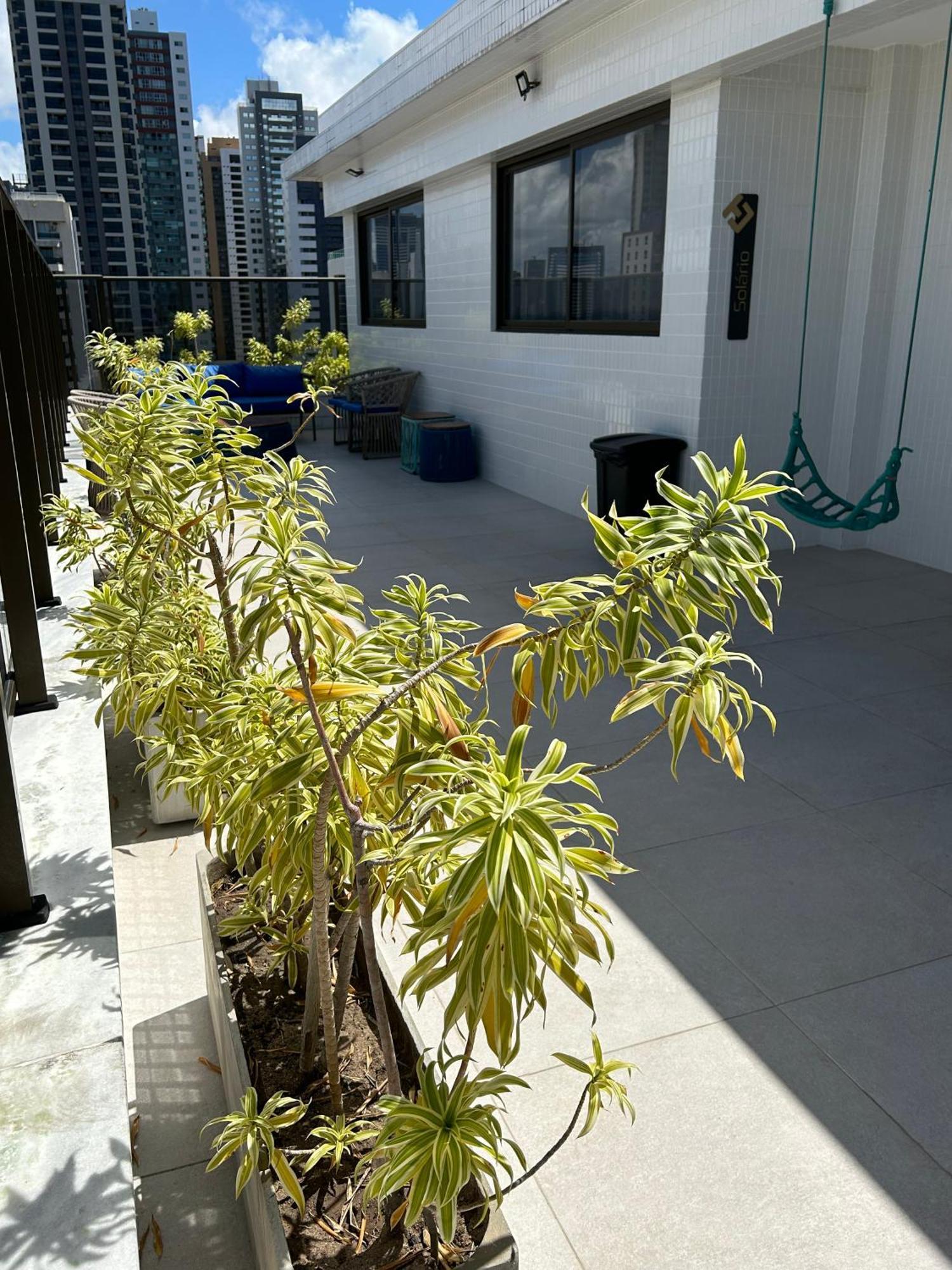 Melhores Flats - Magnifico, Pertinho Do Mar Apartamento *